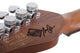 Schecter Nick Johnston PT Electric Guitar (Atomic Snow)