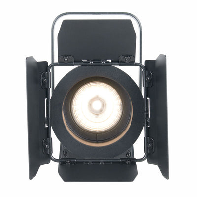 ADJ 2in Fresnel Fixture (3000K) with 17W WW LED & Barn Door