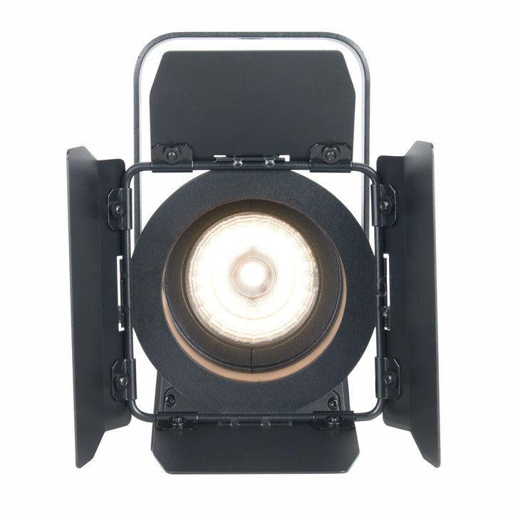 ADJ 2in Fresnel Fixture (3000K) with 17W WW LED & Barn Door
