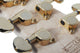 Schecter Omen Extreme-6 Electric Guitar (Gloss Natural)