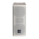 FBT CLA 203T 2-Way Passive Line Array Column (White) - 2x3”