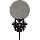 SE Electronics X1SVP X1 S Microphone with Shockmount and Cable Bundle – rear view