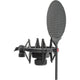 SE Electronics X1SVP X1 S Microphone with Shockmount and Cable Bundle – detail view