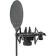 SE Electronics X1SVP X1 S Microphone with Shockmount and Cable Bundle – top view