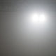 ADJ Blinder/Strobe Fixture with 2 x 110W WW COB LED