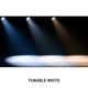 ADJ Moving Head with 19 x 40W RGBL LED