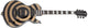 Schecter Wylde Audio Odin Grail Electric Guitar (RawTop)