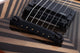 Schecter Wylde Audio Berzerker Electric Guitar (Corridors)