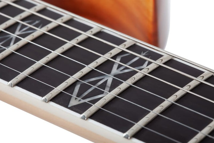 Schecter Wylde Audio Berzerker Electric Guitar (Corridors)