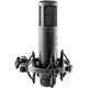 SE Electronics SE2200 Large Diaphragm Cardioid Condenser Mic with Shockmount & Filter – three-quarter left view