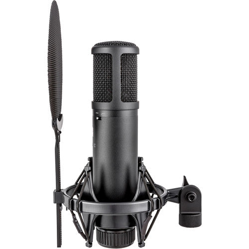 SE Electronics SE2200 Large Diaphragm Cardioid Condenser Mic with Shockmount & Filter – rear view