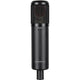 SE Electronics SE2300 Multi Pattern Large Diaphragm Condenser Mic with Shockmount & Filter – three-quarter right view