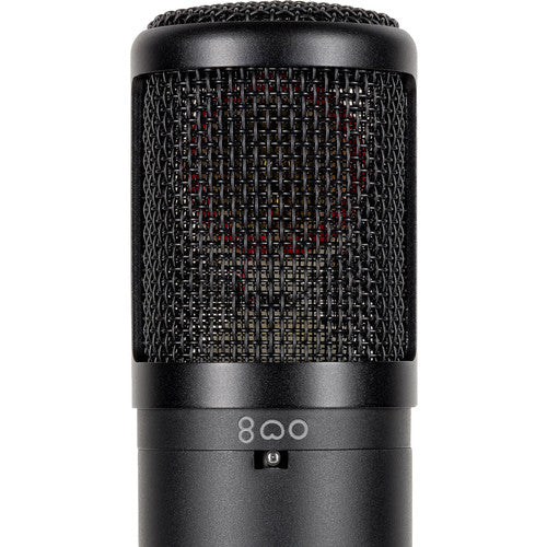 SE Electronics SE2300 Multi Pattern Large Diaphragm Condenser Mic with Shockmount & Filter – rear view