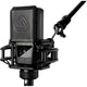 Lewitt LCT441FLEX 1" true condenser multi-pattern microphone