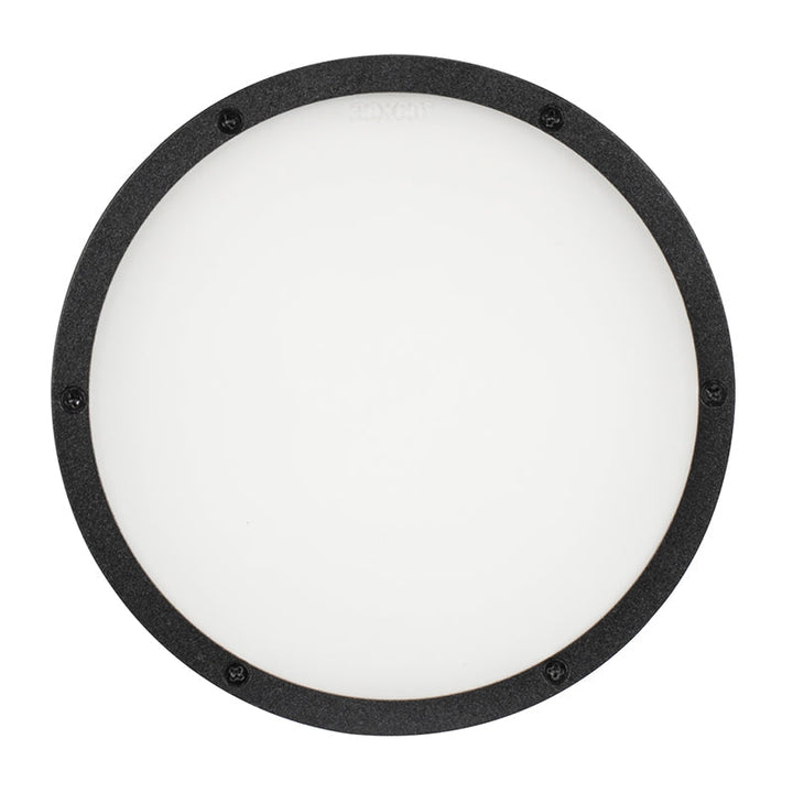 ADJ 30 x 60° Frost Filter for ENCORE-LP12IP