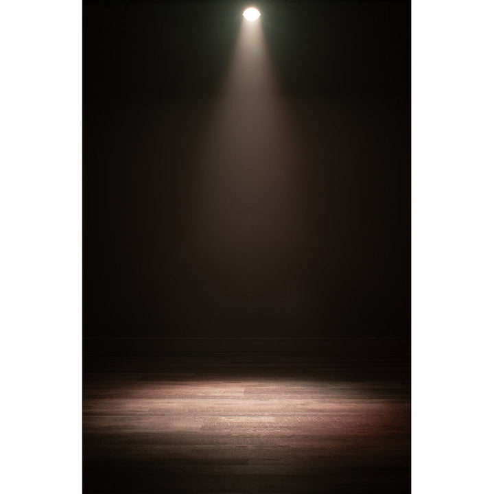 ADJ PAR Fixture with 16 x 3.5W RGBL COB LED