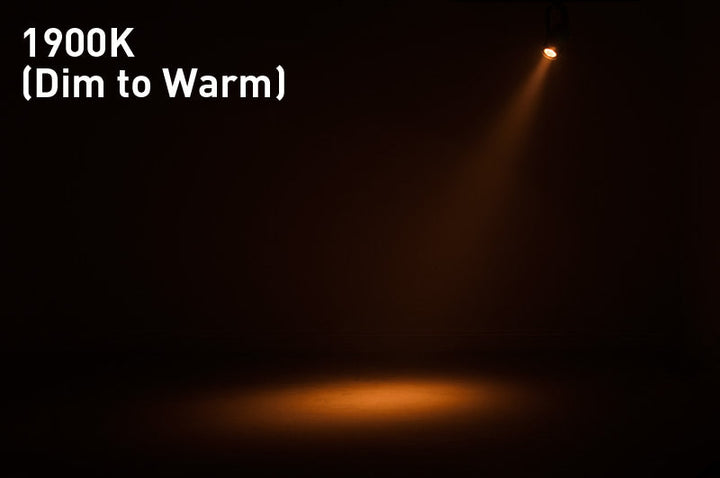 ADJ Pinspot with 20° Beam & 15W WW LED