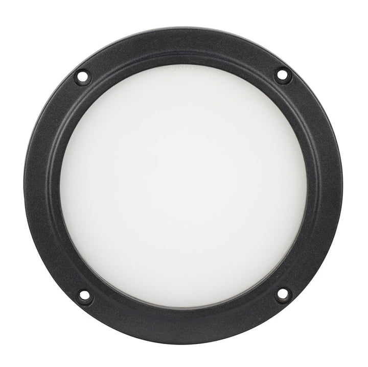ADJ 30 x 60° Frost Filter for ENCORE-LP5IP