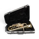 SKB SKB 1SKB-375 Universal Euphonium Case (Black) - Instrument Cases