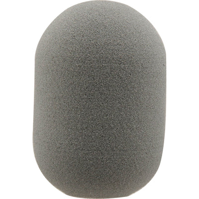 Shure A4WS