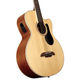 Alvarez AB60CE Artist Cutaway Acoustic-Electric Bass (Natural Gloss)
