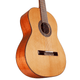 Alvarez AC65 Artist Classical Guitar (Natural Gloss)