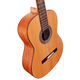 Alvarez AC65 Artist Classical Guitar (Natural Gloss)