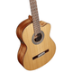 Alvarez AC65CE Artist Cutaway Acoustic-Electric Classical Guitar (Natural Gloss)