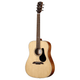 Alvarez AD60 Artist Dreadnought Acoustic Guitar (Natural Gloss)