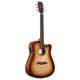 Alvarez AD60CE Artist Dreadnought Cutaway Acoustic-Electric Guitar (Shadowburst)