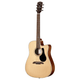 Alvarez AD60CE Artist Dreadnought Cutaway Acoustic-Electric Guitar (Natural Gloss)