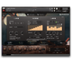 Hopkin Intrumentarium: Flat Gongs - 3