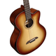 Alvarez AEB70CE Artist Elite Cutaway Acoustic-Electric Bass with Armrest (Shadowburst)