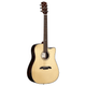 Alvarez AED90CE Artist Elite Dreadnought Cutaway Acoustic-Electric Guitar with Armrest (Natural Gloss)
