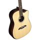 Alvarez AED90CE Artist Elite Dreadnought Cutaway Acoustic-Electric Guitar with Armrest (Natural Gloss)