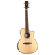 Alvarez AEG70CE Artist Elite Grand Auditorium Cutaway Acoustic-Electric Guitar with Armrest (Natural Gloss)