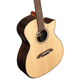 Alvarez AEG70CE Artist Elite Grand Auditorium Cutaway Acoustic-Electric Guitar with Armrest (Natural Gloss)
