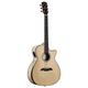 Alvarez AEG80CE Artist Elite Grand Auditorium Cutaway Acoustic-Electric Guitar with Armrest (Natural Gloss)