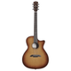 Alvarez AEG95CE Artist Elite Grand Auditorium Cutaway Acoustic-Electric Guitar (Shadowburst)