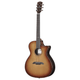 Alvarez AEG95CE Artist Elite Grand Auditorium Cutaway Acoustic-Electric Guitar (Shadowburst)