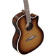 Alvarez AEG99CE Artist Elite Grand Auditorium Cutaway Acoustic-Electric Guitar with Armrest (Shadowburst)