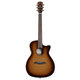 Alvarez AEG99CE Artist Elite Grand Auditorium Cutaway Acoustic-Electric Guitar with Armrest (Shadowburst)