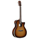 Alvarez AEG99CE Artist Elite Grand Auditorium Cutaway Acoustic-Electric Guitar with Armrest (Shadowburst)