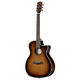 Alvarez AEG99CE Artist Elite Grand Auditorium Cutaway Acoustic-Electric Guitar with Armrest (Shadowburst)