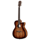Alvarez AF66CE Artist Folk/OM Cutaway Acoustic-Electric Guitar (Shadowburst)