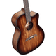 Alvarez AF66CE Artist Folk/OM Cutaway Acoustic-Electric Guitar (Shadowburst)