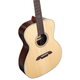 Alvarez AF70E Artist Folk/OM Acoustic-Electric Guitar (Natural Gloss)