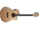 Washburn Apprentice AG40CE Grand Auditorium Cutaway Acoustic-Electric Guitar (Natural)