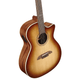 Alvarez AG60CE 8-String Artist Grand Auditorium Cutaway Acoustic-Electric Guitar (Shadowburst)