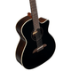 Alvarez AG70CE 12-String Artist Grand Auditorium Cutaway Acoustic-Electric Guitar (Black)